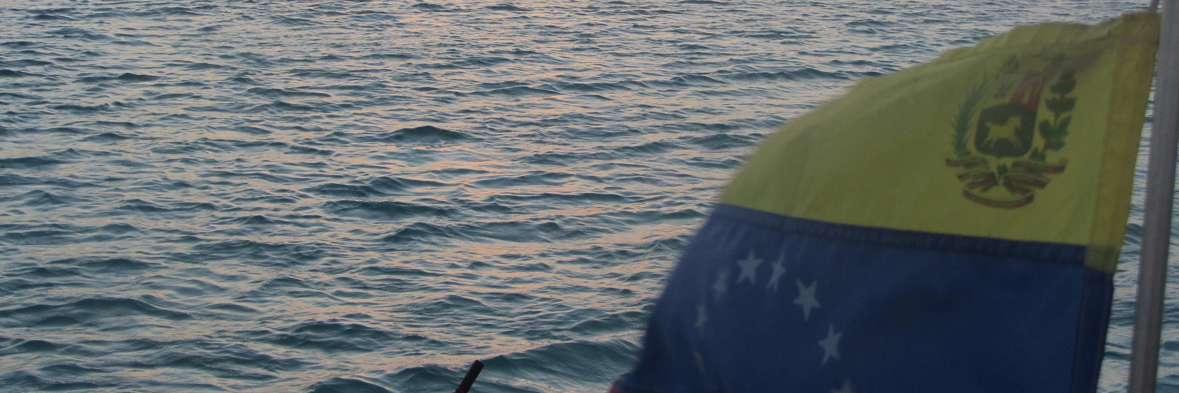 annyfl's profile banner image