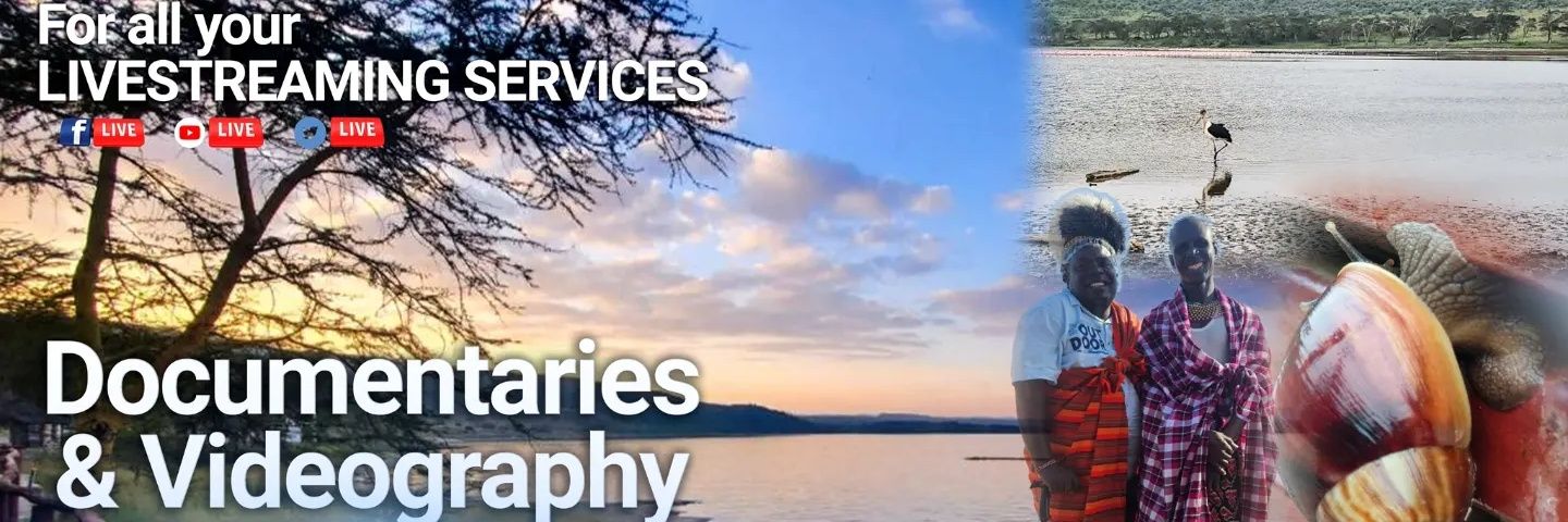 willydavids's profile banner image