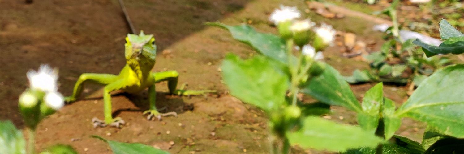 gervasexample's profile banner image