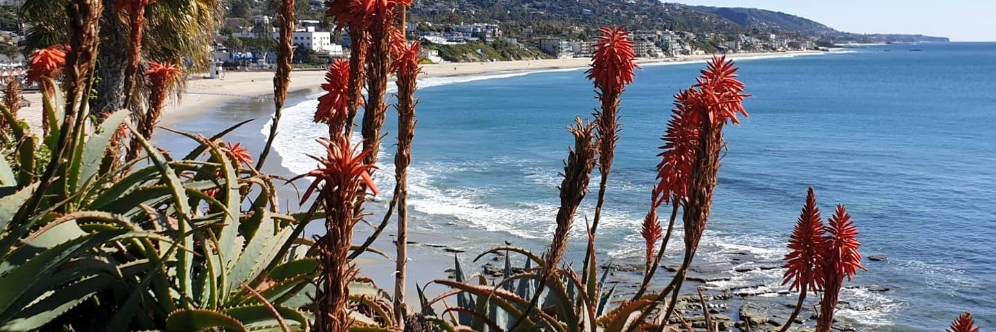 Gülgûn FEYMAN banner