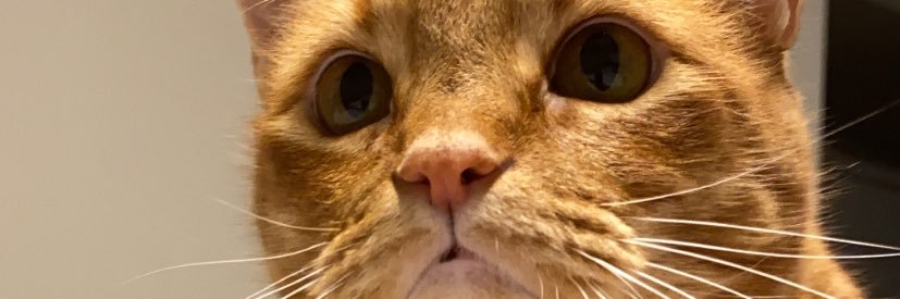 IssaLos1017's profile banner image