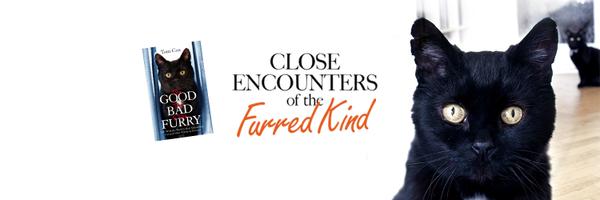 MYSADCAT Profile Banner
