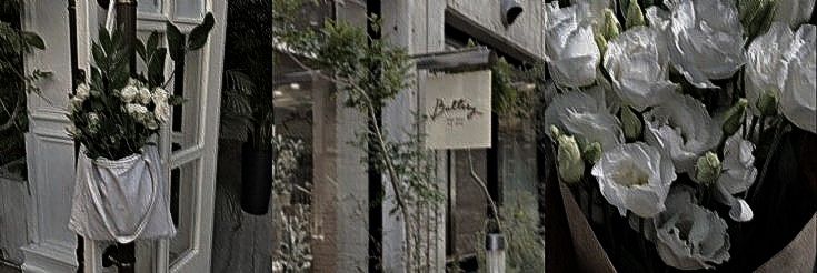 ´𝒌𝒊𝒂𝒂 banner