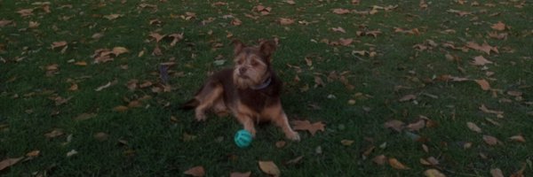 AbertoRojo Profile Banner