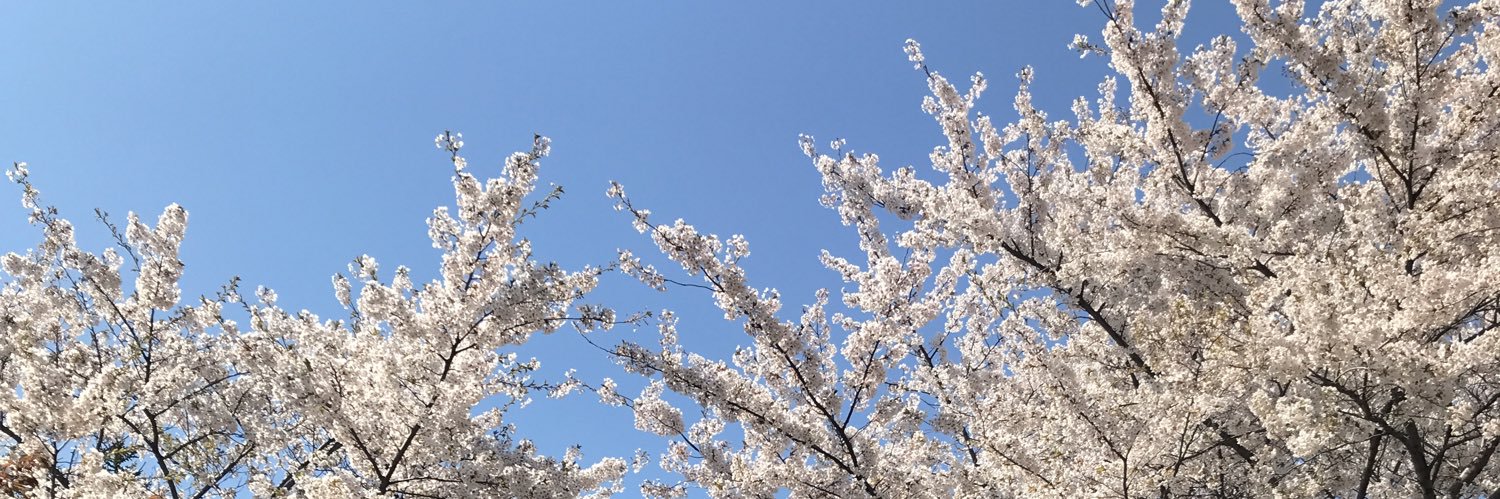 y_kobae's profile banner image