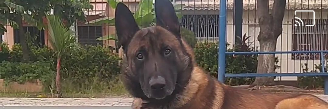 JZCOPS's profile banner image