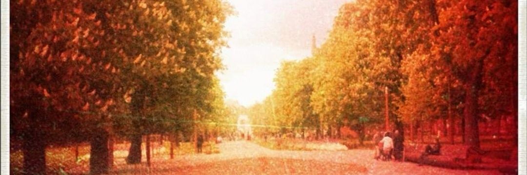 fff_franck's profile banner image
