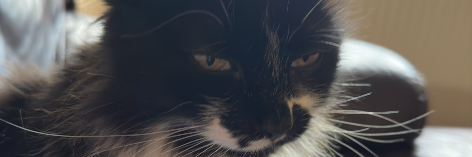 keelymcg10's profile banner image