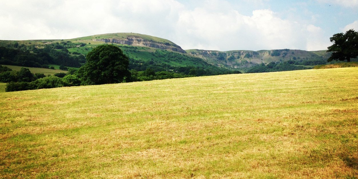 markgroves08's profile banner image
