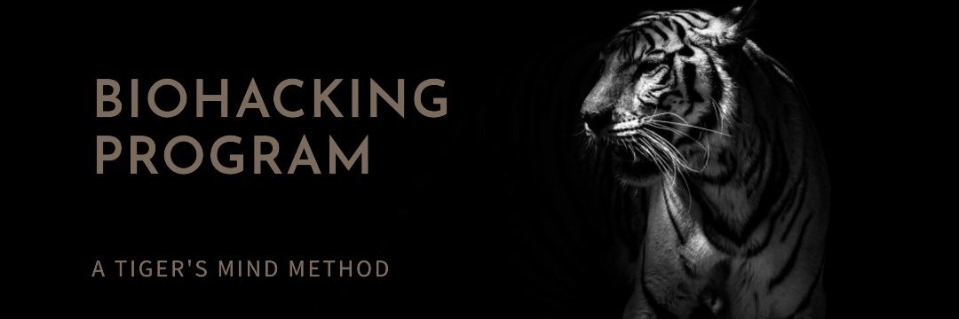 Tiger's Mind Academy banner