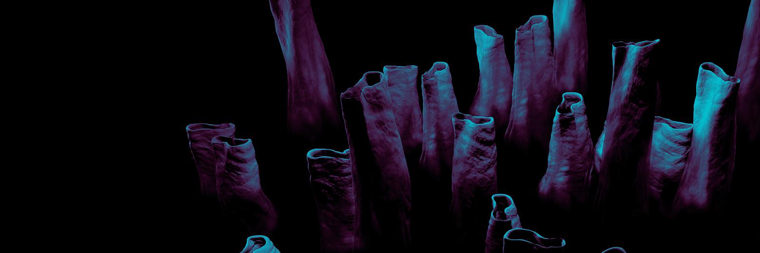 symbiostic's profile banner image