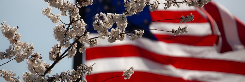 NASA (Netherlands American Studies Association) banner