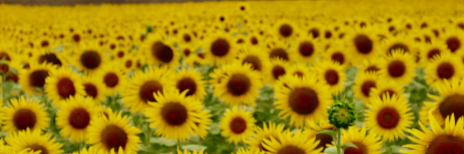 manmo0620's profile banner image