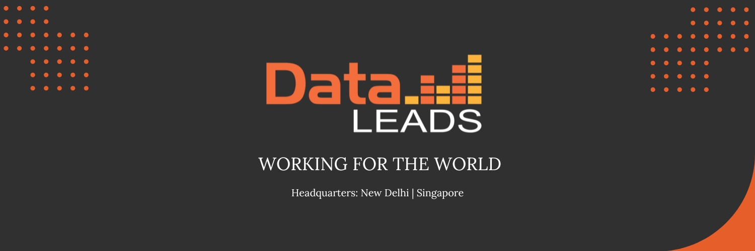 DataLEADS banner
