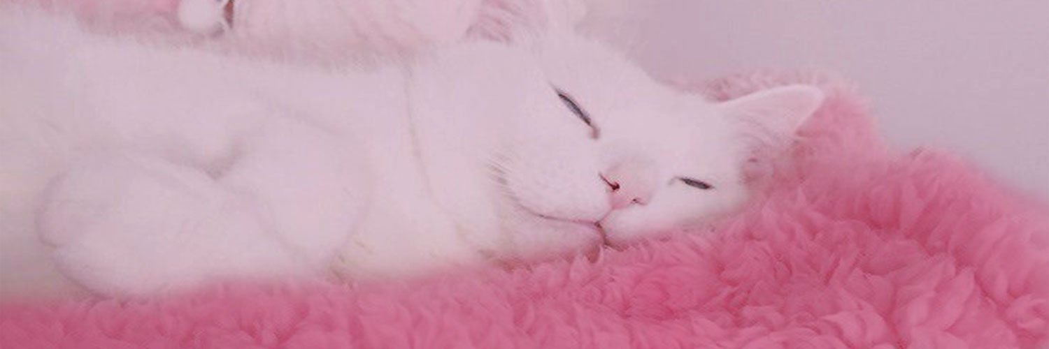 soobinibini's profile banner image