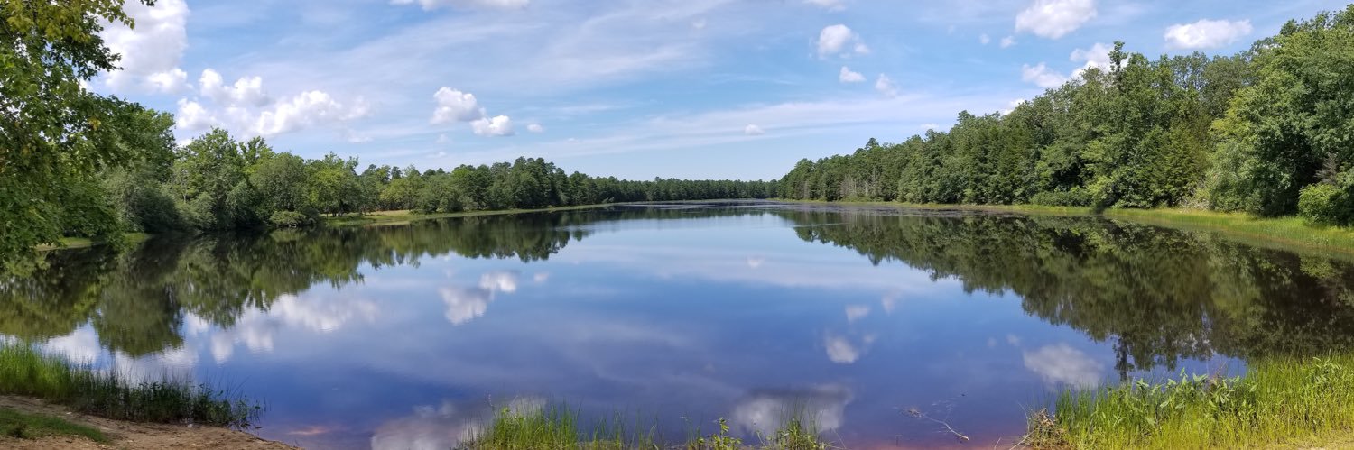 Mrs. Caitlin Gioe banner