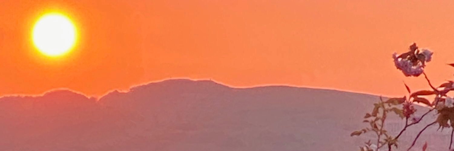 Tonbar0's profile banner image