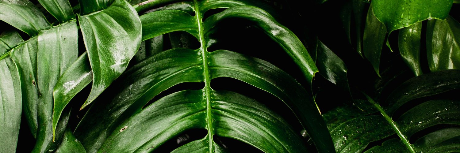 eysan123's profile banner image