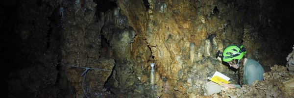 AnnabelWlf Profile Banner