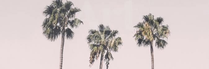 ali_tatis's profile banner image