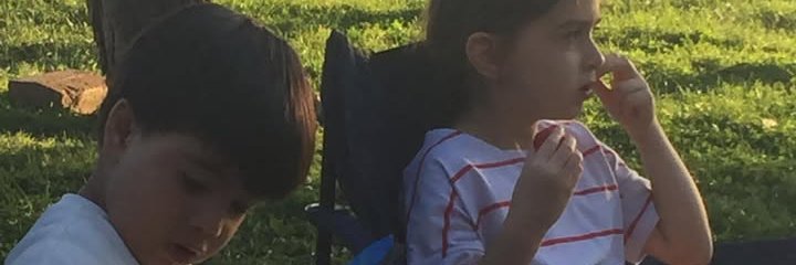 ismetergin's profile banner image
