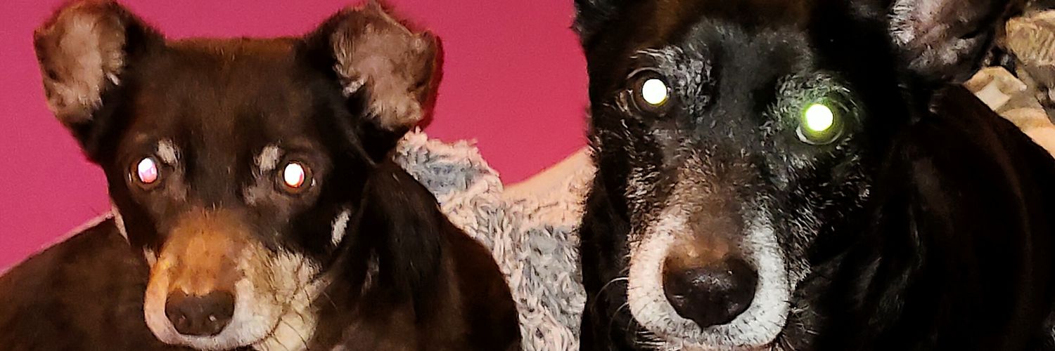 Priska64's profile banner image