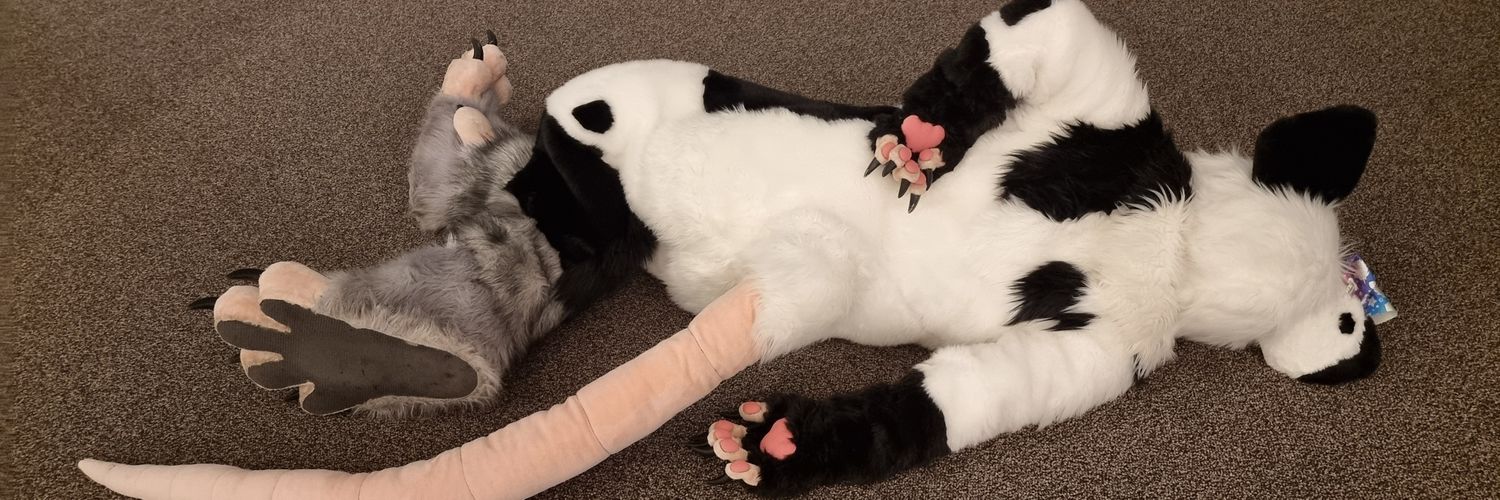 @volteer95.bsky.social 🇪🇺 🇺🇦 banner