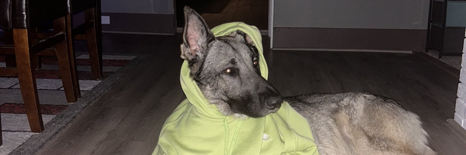 PrezKalamzoo's profile banner image