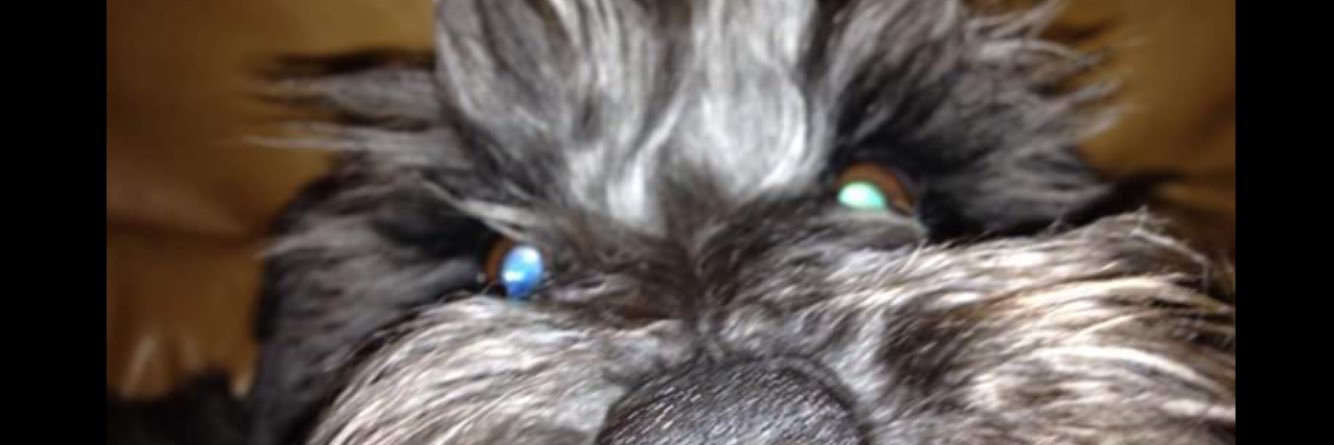 helenhightops's profile banner image