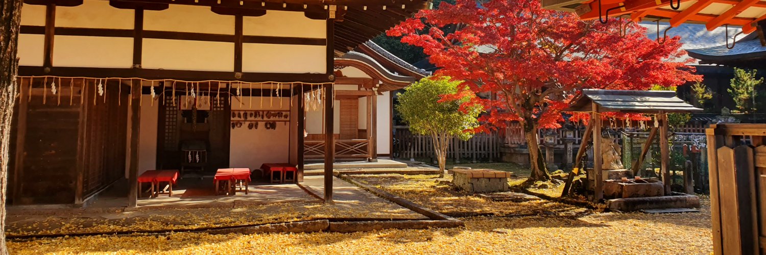 ohnibuk's profile banner image