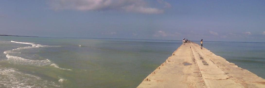 lmilang's profile banner image