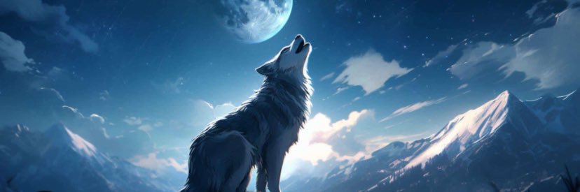 real2DMax's profile banner image