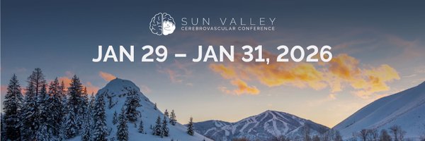 SunValleyCVConf Profile Banner