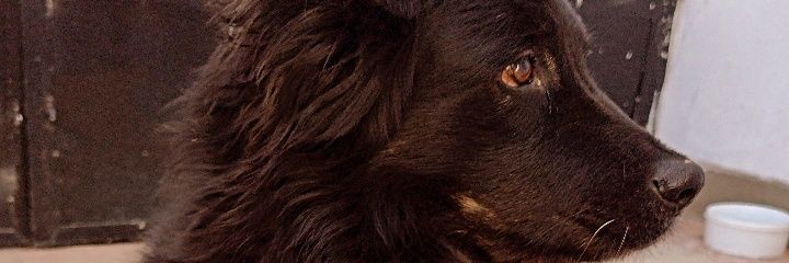 garinfran9's profile banner image