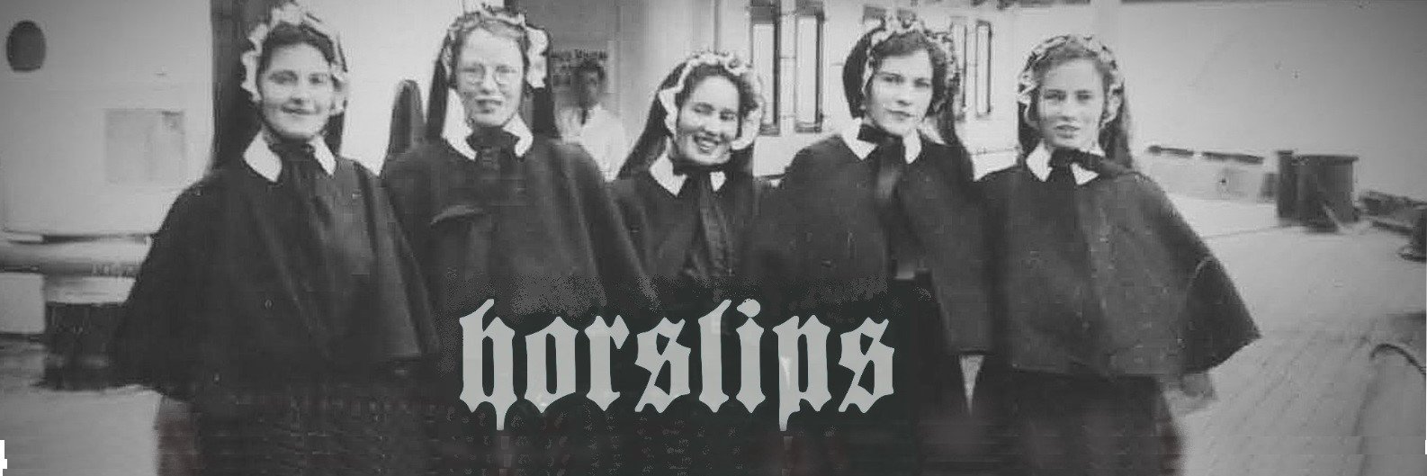Thiefdom Of Horslips's banner