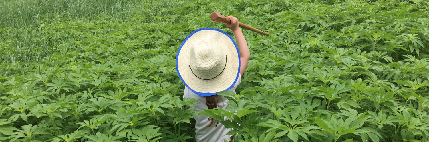 Michael "Not A Mike" Hamtil banner