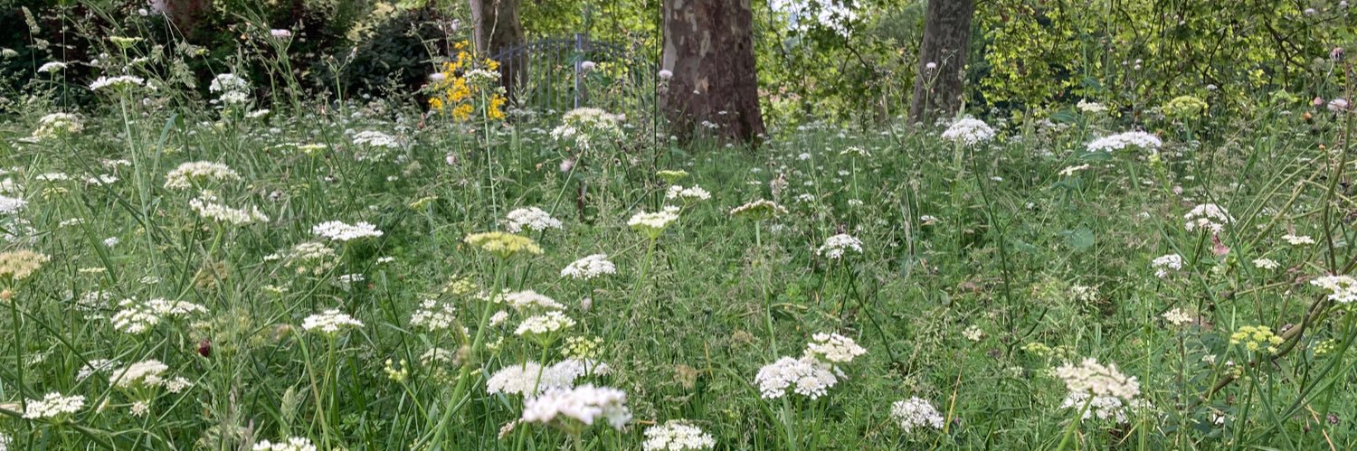 Sharon Moncur banner