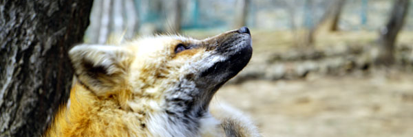 ZENRAA Profile Banner