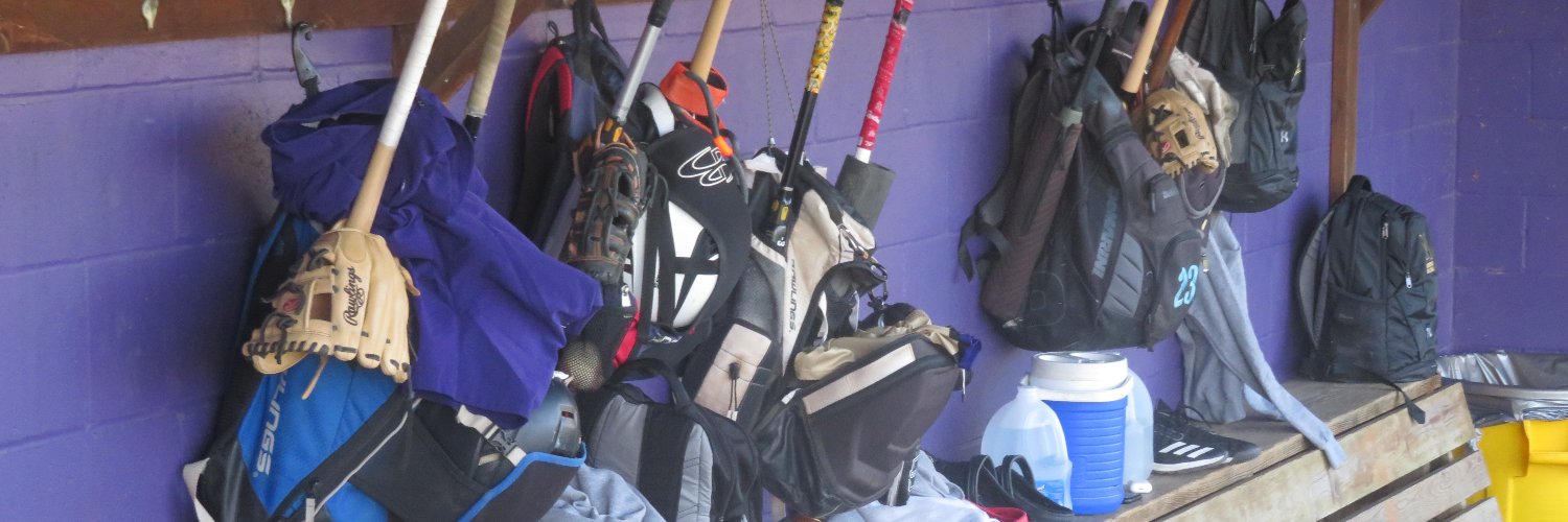 NKC Hornet Baseball Gameday banner