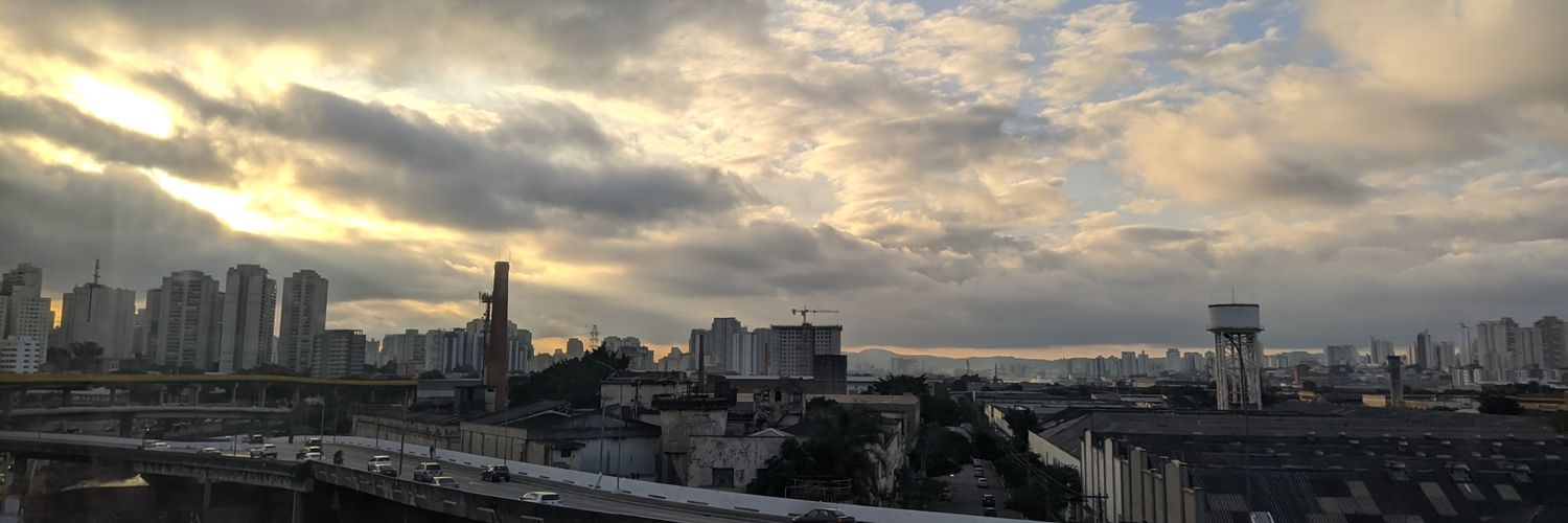 bastard monkey boy banner