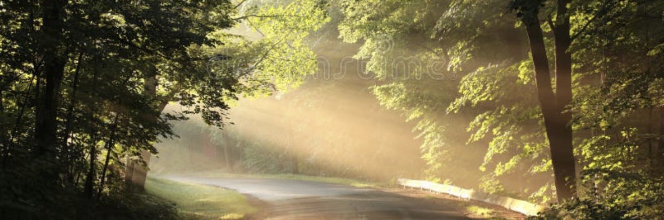 Jeri Thompson banner