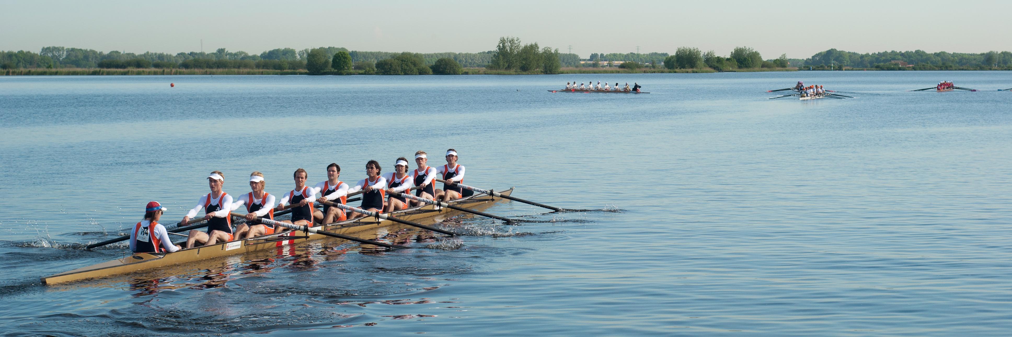 Ringvaart's profile banner image
