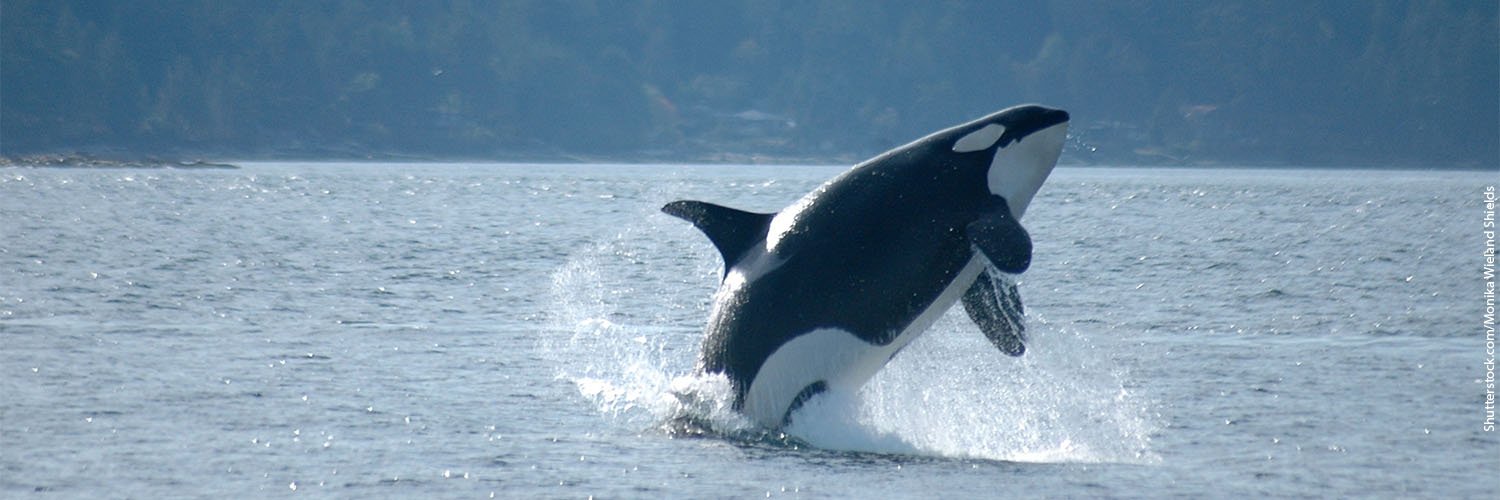 Environment Washington banner