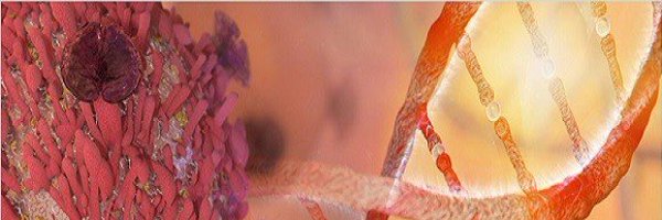 ArmandoFelix70 Profile Banner