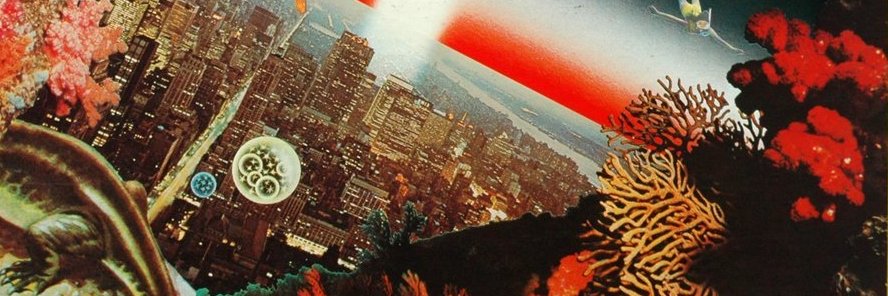Cameren Lee banner