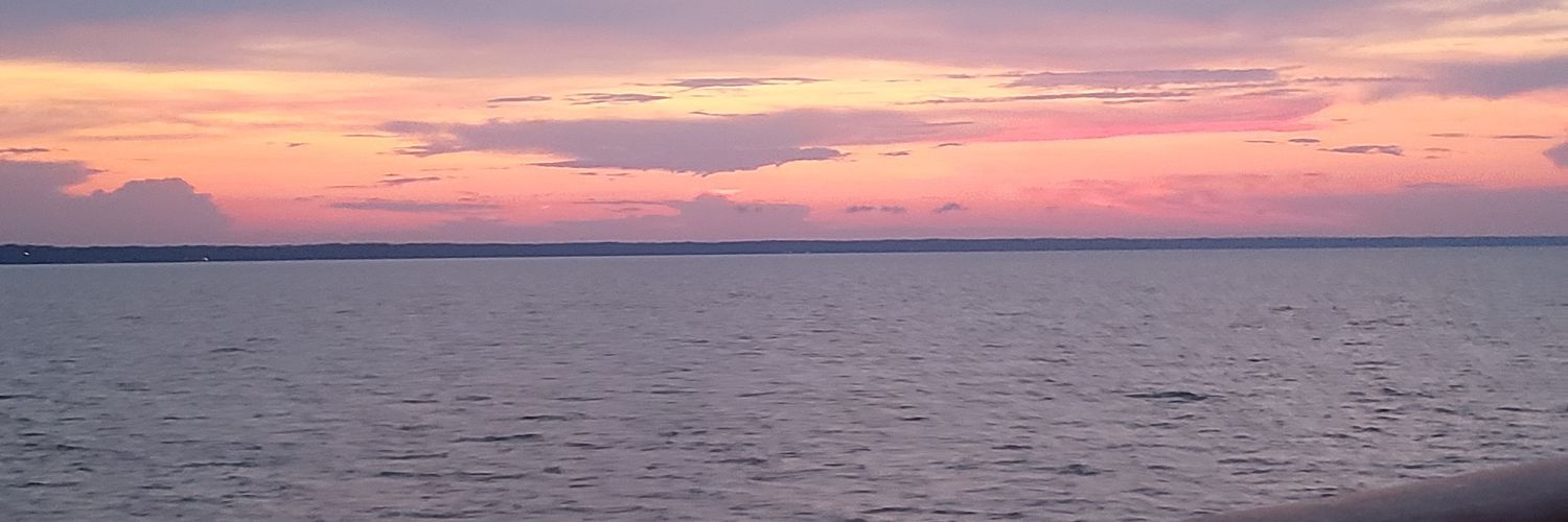 shinystick's profile banner image