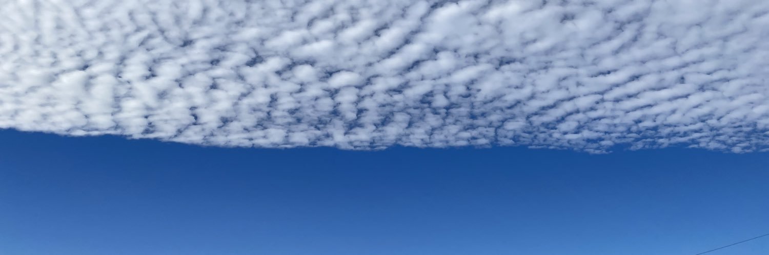 MelissaK45's profile banner image