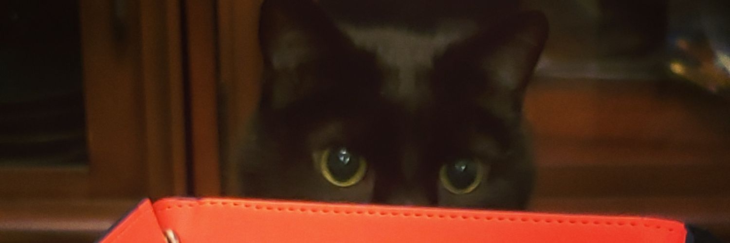 Capt__Smirk's profile banner image
