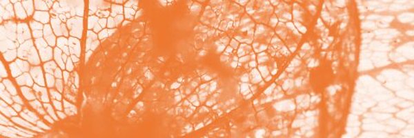 Psycholint_MDPI Profile Banner
