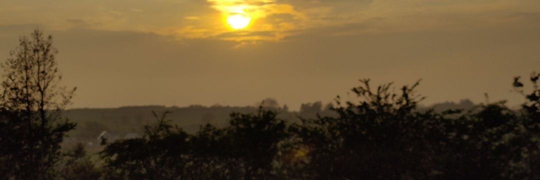 deli26's profile banner image